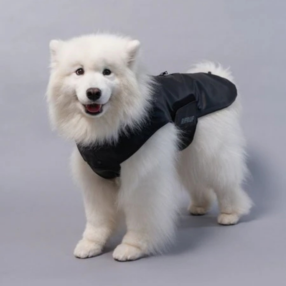 RIFRUF | Stormhunter Dog Raincoat in Truffle (black) sz 10 - Picture 9 of 10
